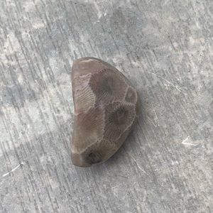 Petoskey stone